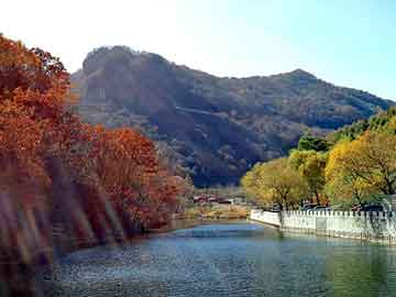 澳门天天免费精准大全，屋面 楼板 墙体裂缝